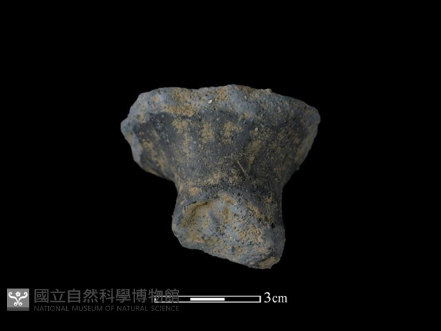 鼎足藏品圖，第2張
