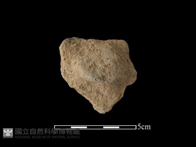 陶蓋鈕藏品圖，第2張