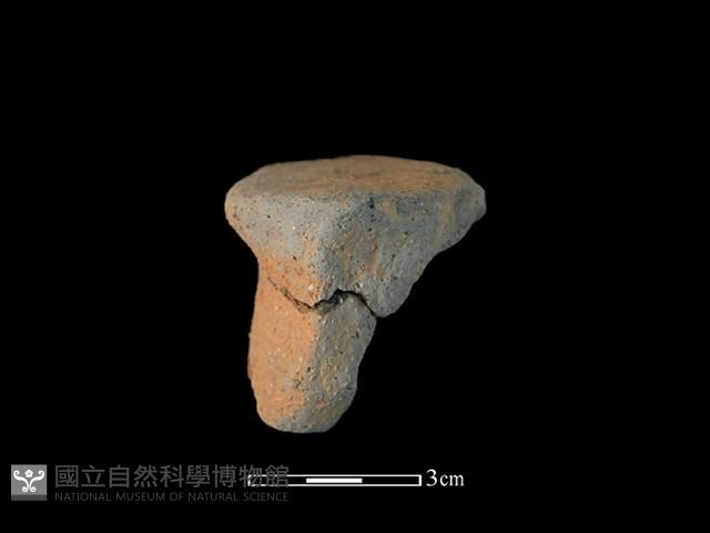 陶片藏品圖，第2張