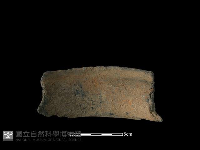 陶罐藏品圖，第2張
