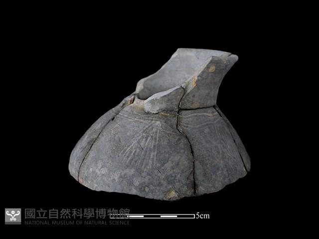 陶罐藏品圖，第2張