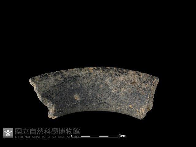 陶罐藏品圖，第2張