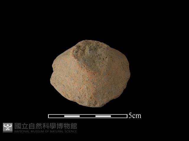 陶蓋鈕藏品圖，第2張