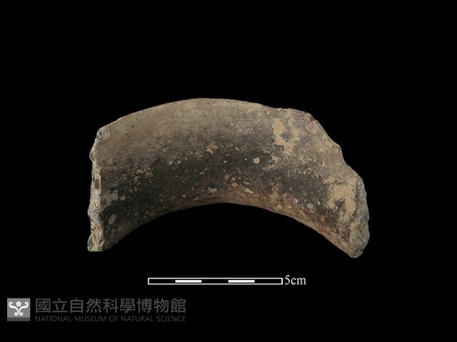 陶罐藏品圖，第2張