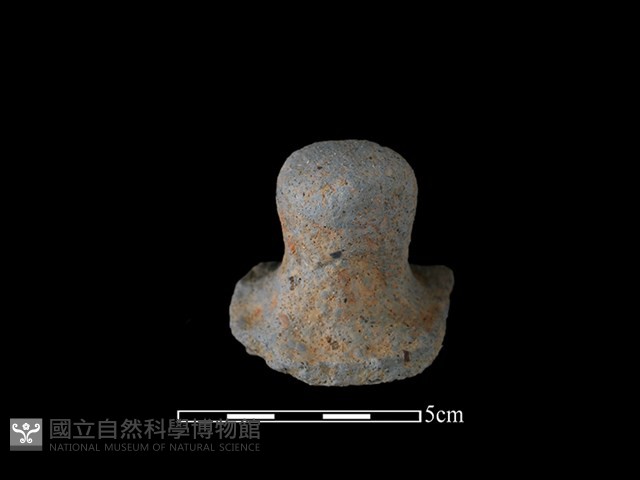 陶蓋鈕藏品圖，第2張