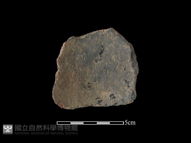 陶片藏品圖，第2張