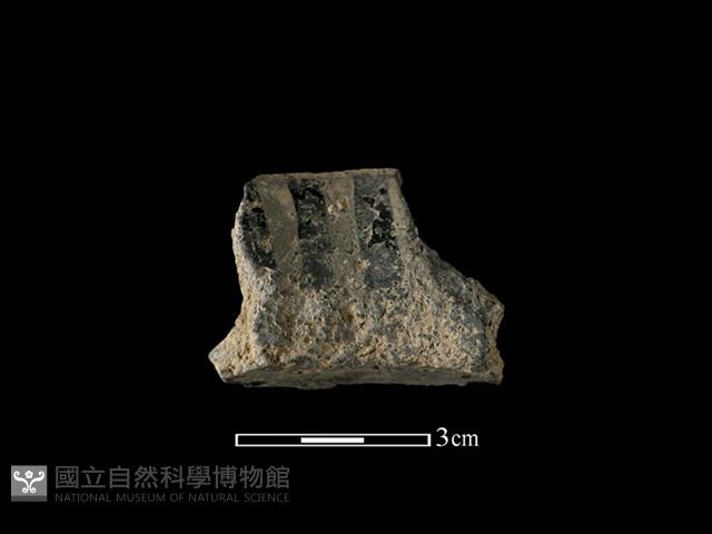 陶片藏品圖，第2張