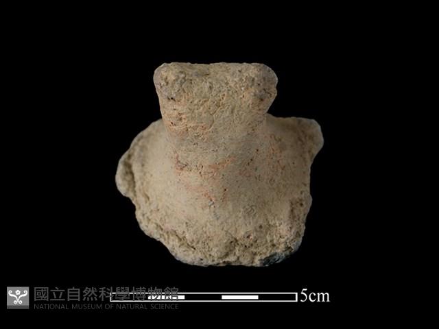 陶蓋鈕藏品圖，第2張