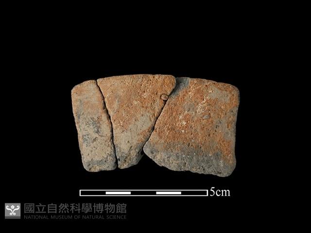 陶片藏品圖，第2張