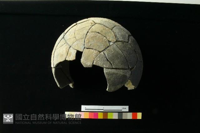 陶罐藏品圖，第6張