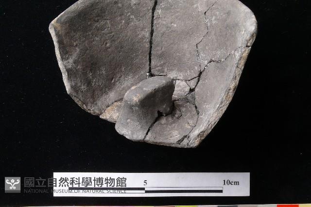 陶蓋藏品圖，第6張