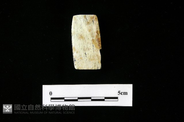 錛鑿形器藏品圖，第6張