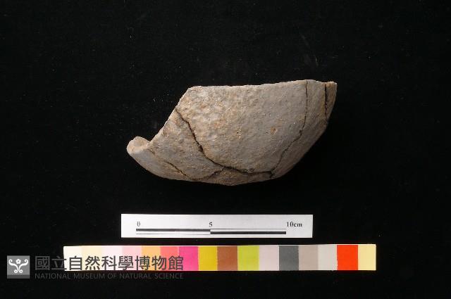 陶蓋藏品圖，第6張