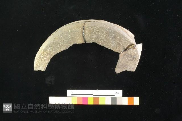 陶罐藏品圖，第6張