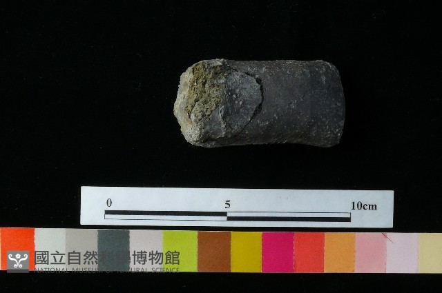 獸足藏品圖，第6張