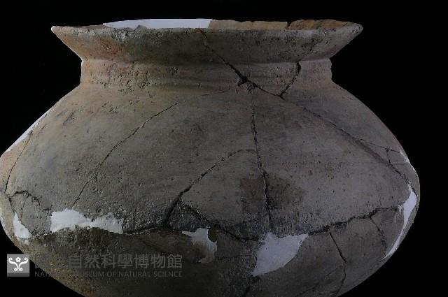 陶罐藏品圖，第7張