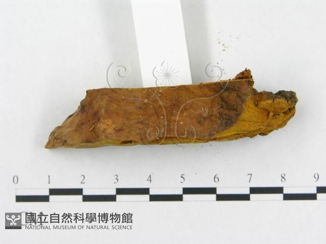 登錄號:F0006288藏品圖，第6張