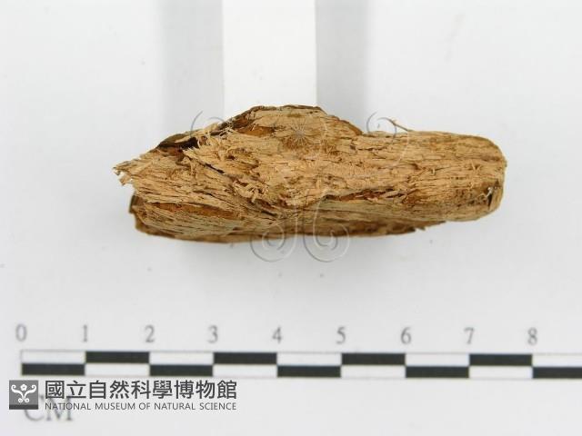 登錄號:F0017396藏品圖，第6張