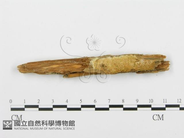 登錄號:F0005993藏品圖，第6張