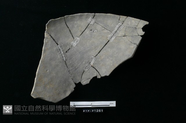 陶器藏品圖，第1張