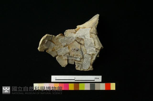 陶罐藏品圖，第3張