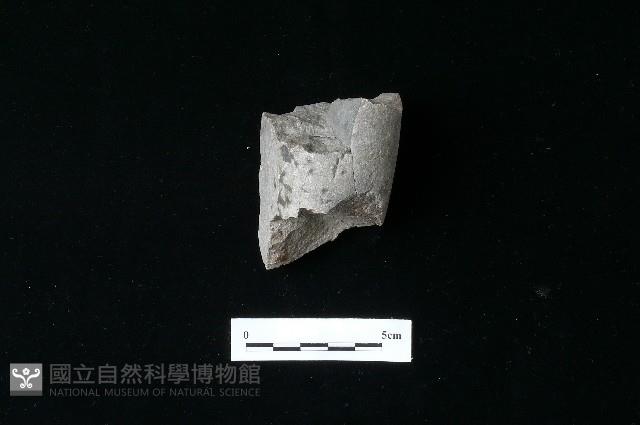 石材藏品圖，第3張