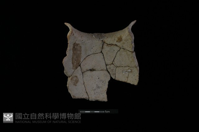 陶罐藏品圖，第2張