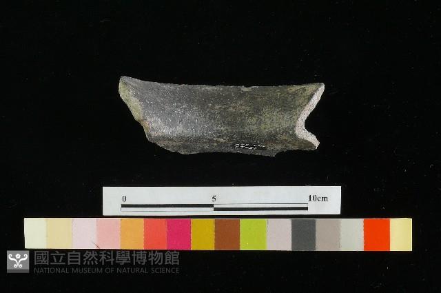 陶罐藏品圖，第3張