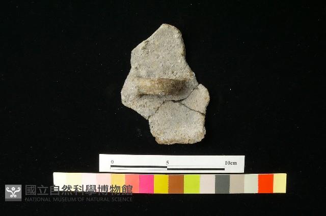 陶蓋藏品圖，第2張