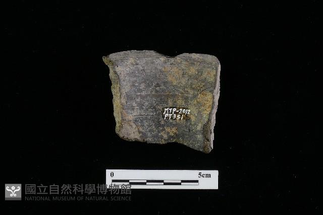 陶罐藏品圖，第2張