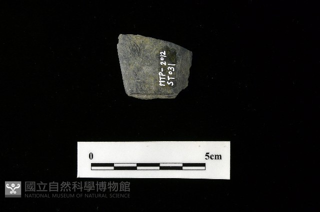 矛鏃形器藏品圖，第1張