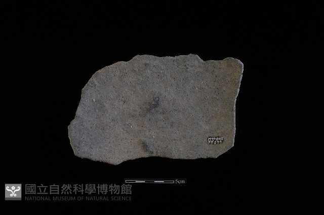陶片藏品圖，第1張