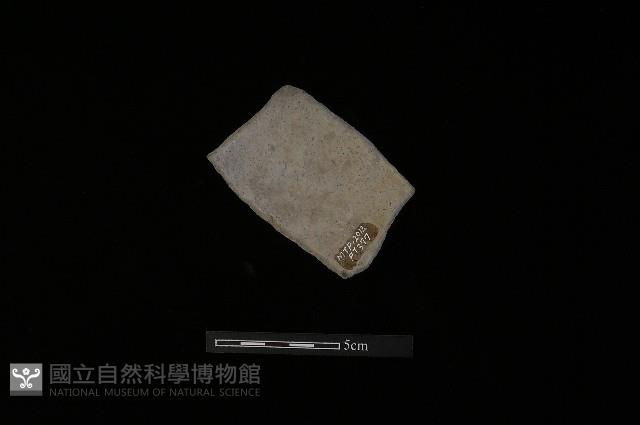 陶片藏品圖，第2張