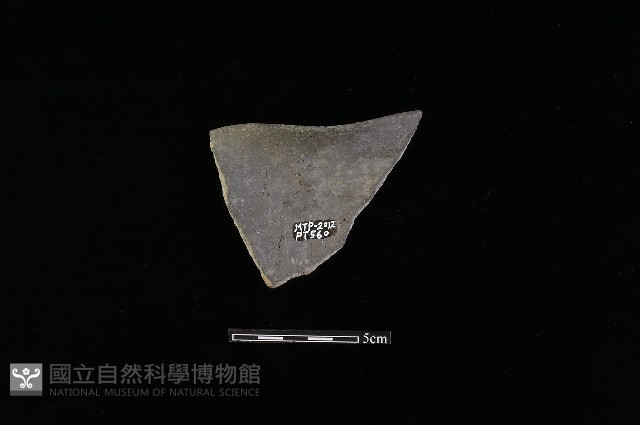 陶片藏品圖，第1張