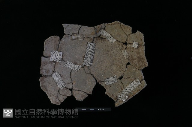 陶片藏品圖，第2張
