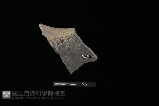 Accession Number:MTP-2012-PT460 Collection Image, Figure 3, Total 3 Figures