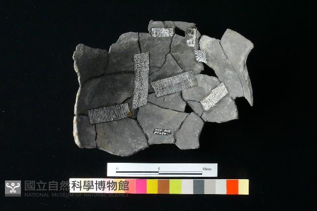 陶罐藏品圖，第3張