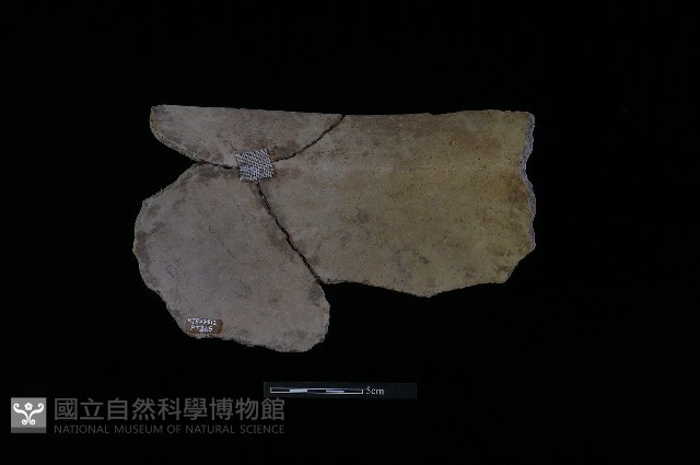 陶罐藏品圖，第2張
