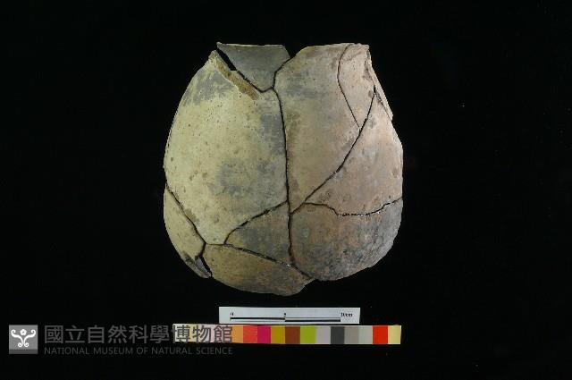 陶罐藏品圖，第3張