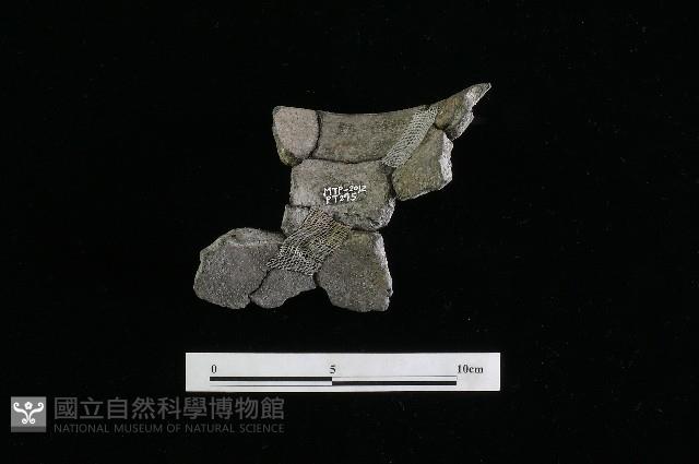 陶罐藏品圖，第1張