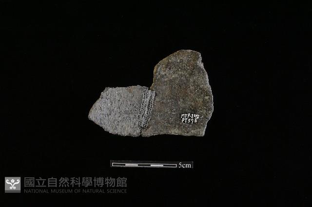 陶片藏品圖，第2張