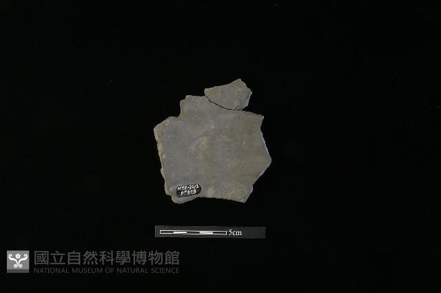 陶片藏品圖，第1張