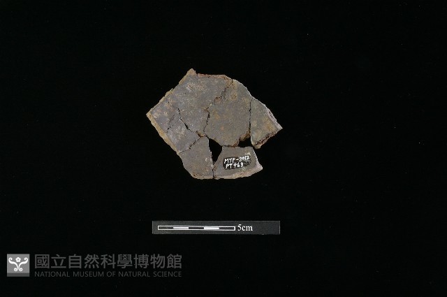 陶片藏品圖，第2張