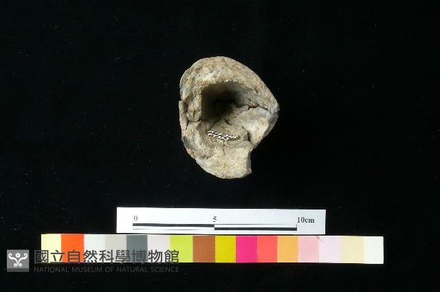 陶器藏品圖，第3張