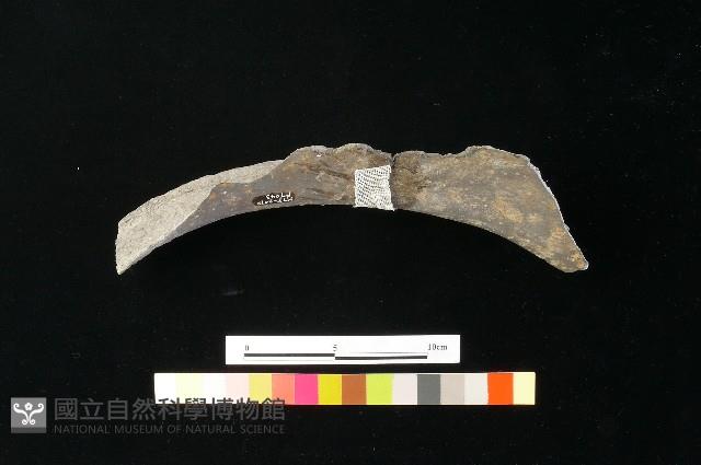 陶缸藏品圖，第3張