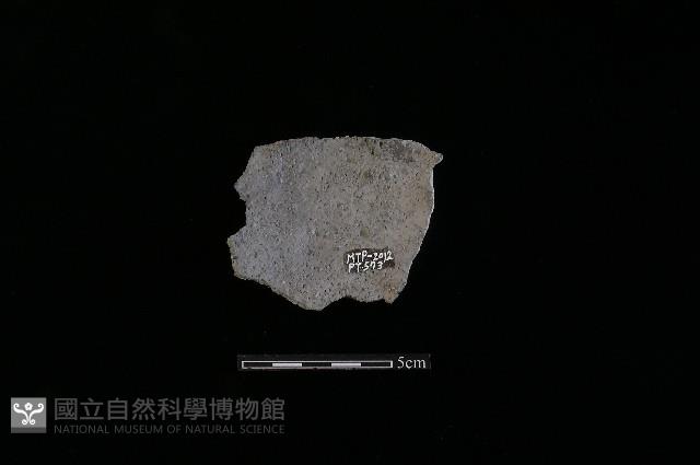 陶片藏品圖，第2張