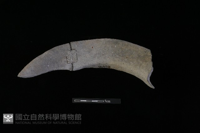 陶罐藏品圖，第1張