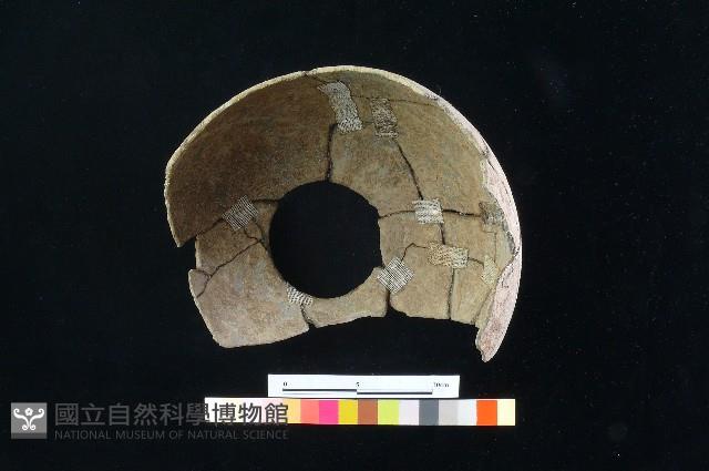 陶罐藏品圖，第1張