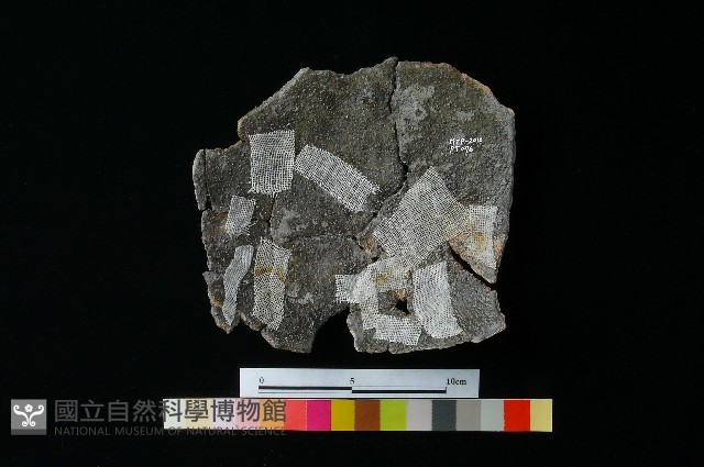 陶罐藏品圖，第3張