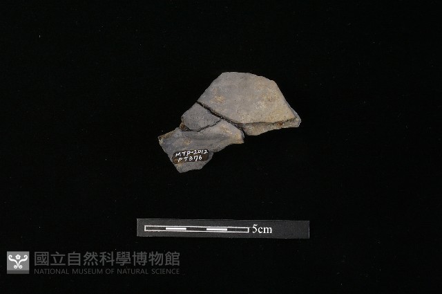 陶罐藏品圖，第1張